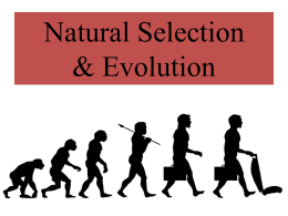 Natural_Selection-1