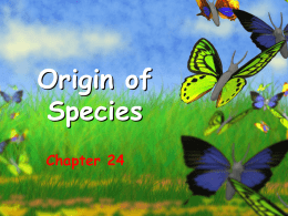 Origin of Species Chapter 24