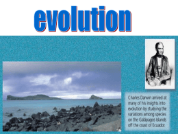 Evidence Supporting Biological Evolution