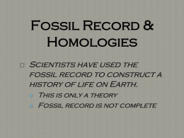 Fossil Record-Homologies-Mechanisms of Evolution Notes