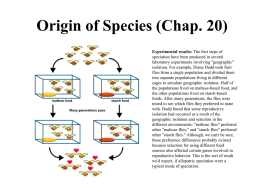 Origin of Species (Chap. 20)