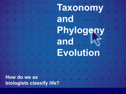 Taxonomy and Phylogeny