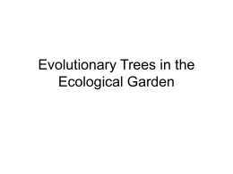 Evolutionary Trees in the Ecological Garden