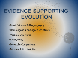 Evidence Supporting Evolution