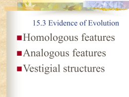 15.3 Evidence of Evolution