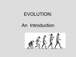 Ch. 13 Evidence for Evolution.pp