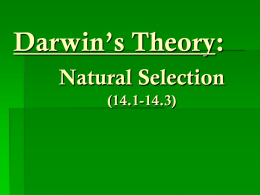 Darwin`s Theory - (www.ramsey.k12.nj.us).
