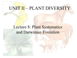 UNIT II – PLANT DIVERSITY