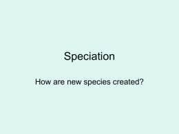 Speciation - inetTeacher.com