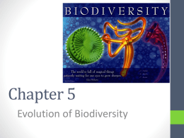 Chapter 5 - Evolution of Biodiversity