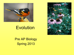 Evolution PPT.