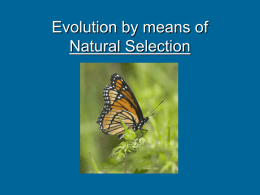 Evolution by means of Natural Selection