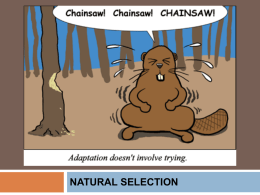 Natural Selection - noraddin