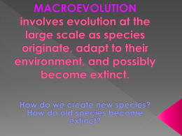 macroevolution involves evolution at the large scale as species