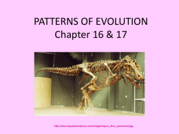 16 & 17-Patterns of Evolution