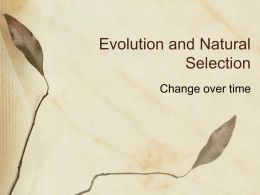 Revised Evolution PPT