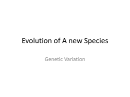Evolution of A new Species