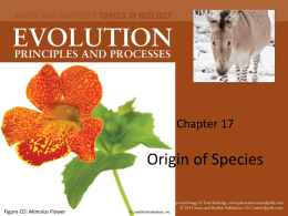 Chapter 17 Origin of Species