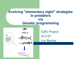 Evolving "elementary sight" strategies in predators via Genetic