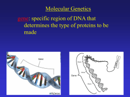 Molecular Genetics & Evolution