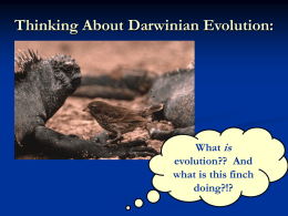 DarwinianEvolutionlect#2