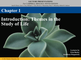 lecture presentations