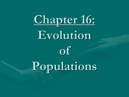 Chapter 16: Evolution of Populations