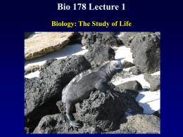 Biol 178 Lecture 1