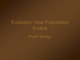Ch. 13 How Populations Evolve