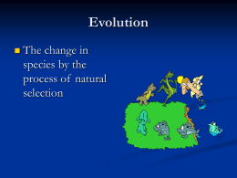 Natural Selection introduction