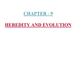 chapter - 9 heridity and evolu