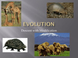 Evolution Basic Concepts for AP Biology ppt.