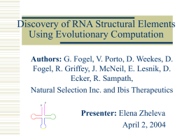 Discovery of RNA Structural Elements Using Evolutionary