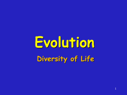 darwin evolution 2