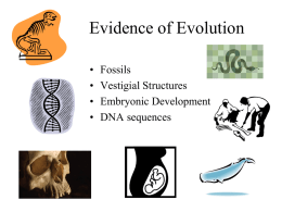 evolution_-_evidence_ch._15_part