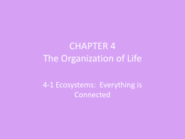 CHAPTER 4 The Organization of Life