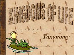 KINGDOMS OF LIFE