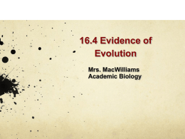 NOTES 4 Evolution Evidence 16_4