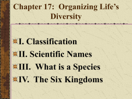 Classification of Organisms Chapter 17