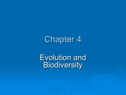 Ch 4 - Evolution and Biodiversity