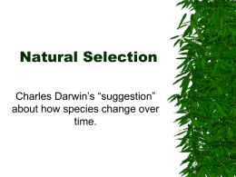 Natural_Selection_2
