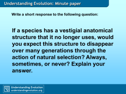 Do vestigial structures necessarily disappear through evolution?