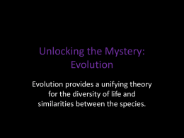 Unlocking the Mystery: Evolution