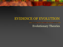 Evolution Notes #4