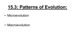 15.3: Patterns of Evolution