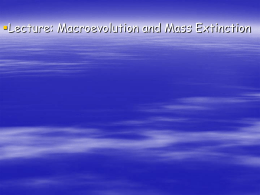 Macroevolution and Mass Extinction powerpoin