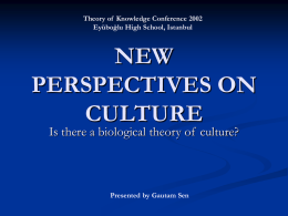 NEW PERSPECTIVES ON CULTURE