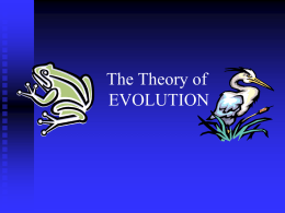 EVOLUTION - Hazlet.org