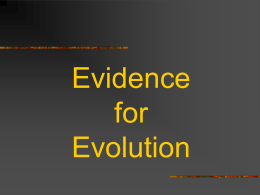 Evidence for Evolution PowerPoint