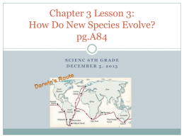 Chapter 3 Lesson 3 Lesson 4 - 6thgrade
